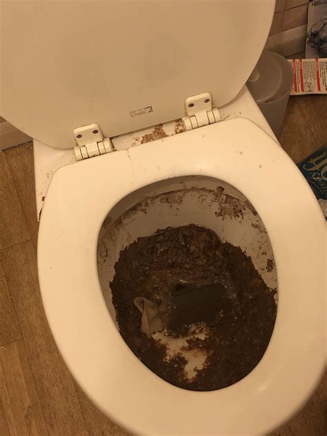 poop porn thisvid|Watch toilet poop videos uploaded by users .